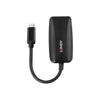 Lindy Videoadapter - 24 pin USB-C (M) zu DisplayPort (W)