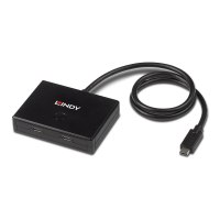 Lindy Hub - 2 x USB 3.2 Gen 1 - Desktop