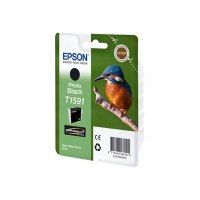 Epson T1591 - 17 ml - Photo schwarz - Original