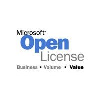 Microsoft MS OVL-GOV Excel Lic+SA Pack 1 License Additional Product 1Y-Y2