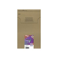 Epson T0807 Easy Mail Packaging