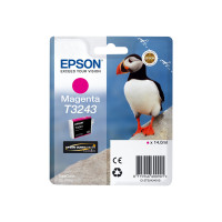 Epson T3243 - 14 ml - Magenta - original - Tintenpatrone