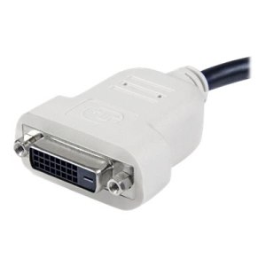 StarTech.com DisplayPort Adapter auf DVI - DP (Stecker)