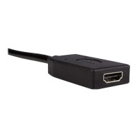 StarTech.com DisplayPort to HDMI Adapter