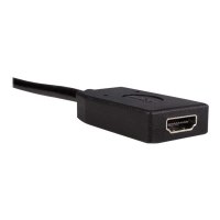StarTech.com DisplayPort auf HDMI Video Adapter / Konverter - DP zu HDMI mit bis zu 1920x1200 - DP / HDMI Länge 24cm (Stecker/Buchse)