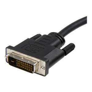 StarTech.com 3m DisplayPort auf DVI Adapter Konverter Kabel / DP zu DVI (Stecker/Stecker)