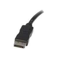 StarTech.com 3m DisplayPort auf DVI Adapter Konverter Kabel / DP zu DVI (Stecker/Stecker)