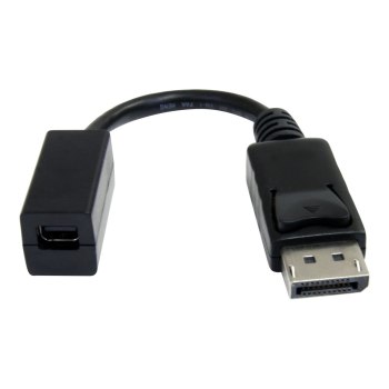 StarTech.com 6in DisplayPort to Mini DisplayPort Video Cable Adapter (DP2MDPMF6IN)