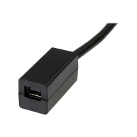 StarTech.com 15cm DisplayPort auf Mini DisplayPort Adapter - 1 x DP (20 pin)