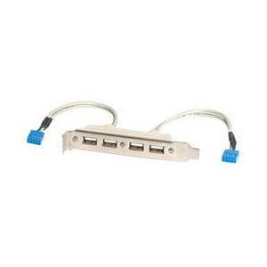 StarTech.com 4 Port USB 2.0 Buchse Slotblech Adapter mit...