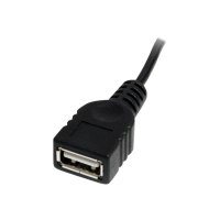 StarTech.com 1 ft Mini USB 2.0 Cable