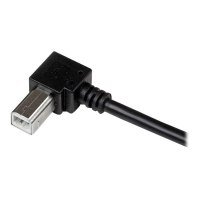 StarTech.com 3m USB 2.0 A auf B Kabel rechts gewinkelt - St/St - USB Druckerkabel - USB-Kabel - USB Typ B (M)