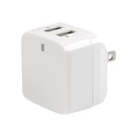 StarTech.com Dual Port USB Wall Charger 17W/3.4A