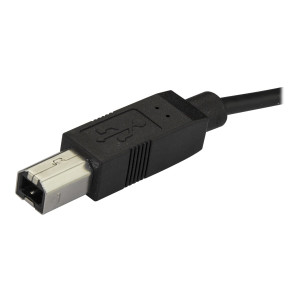 StarTech.com 2m 6ft USB C to USB B Cable