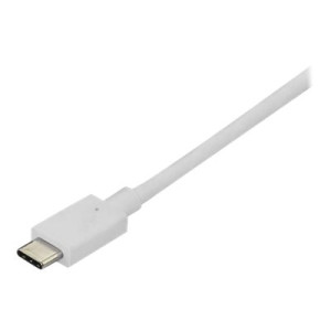 StarTech.com USB-C auf DisplayPort Adapter Kabel