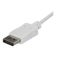 StarTech.com USB-C auf DisplayPort Adapter Kabel