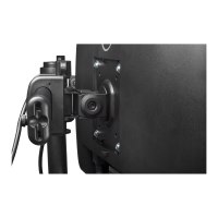 StarTech.com Dual Monitor Mount