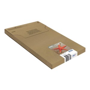Epson 603 Multipack Easy Mail Packaging