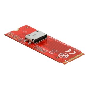 Delock 64106 - M.2 - PCIe 4.0 - Cina - 64 Gbit/s -...