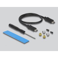 Delock Speichergehäuse - M.2 - M.2 NVMe Card / SATA 6Gb/s - USB 3.2 (Gen 2)