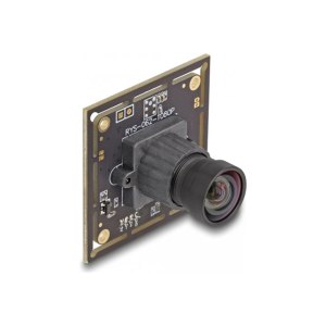 Delock surveillance camera card - color - 2.1 MP