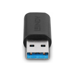 Lindy USB-Adapter - USB Typ A (M) zu 24 pin USB-C (W)